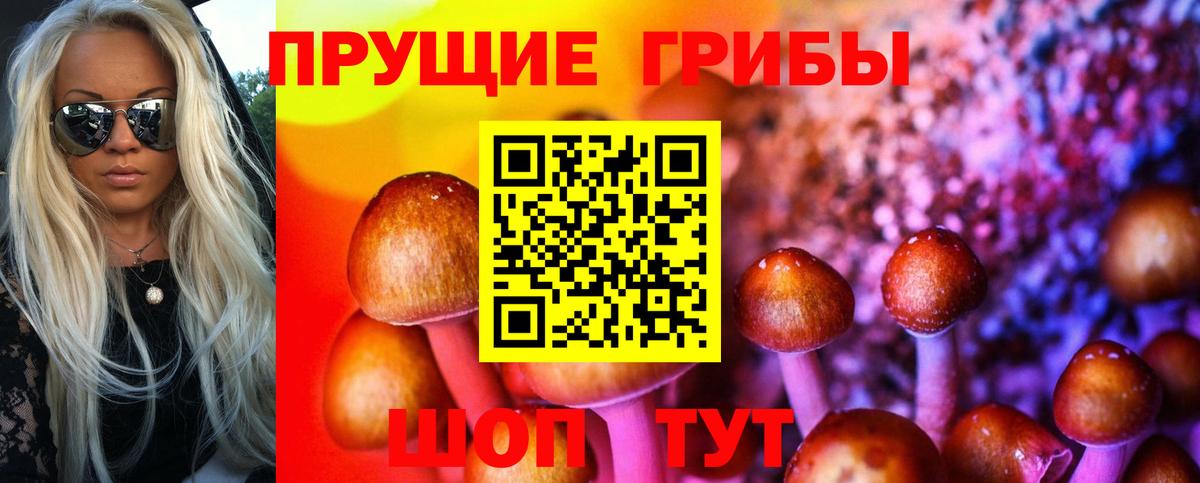 Галлюциногенные грибы GOLDEN TEACHER Павлово